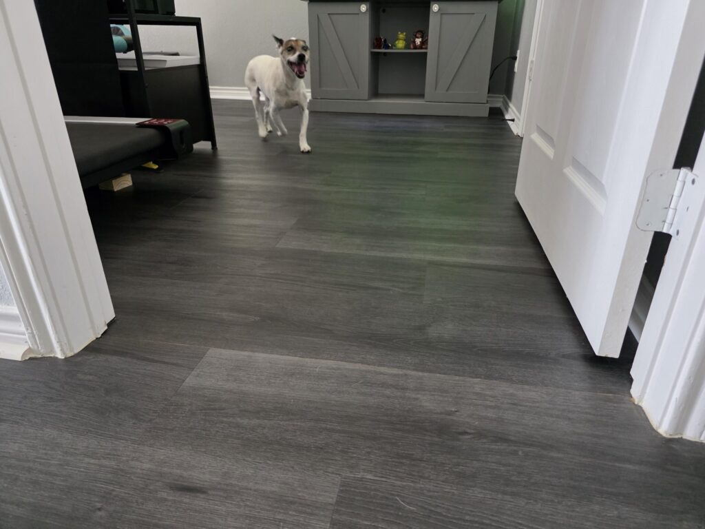Personalized in-home dog boarding setup for overnight stays near Roanoke TX